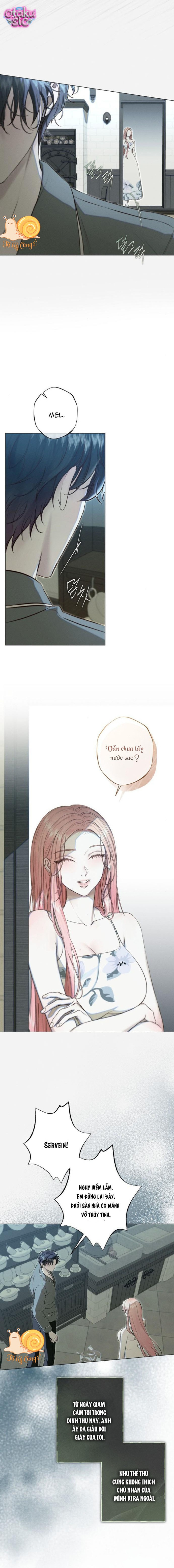 Chàng Tiên Cá Bị Giam Cầm Trong Hồ Nhà Tôi - Chap 24 - Trang 9