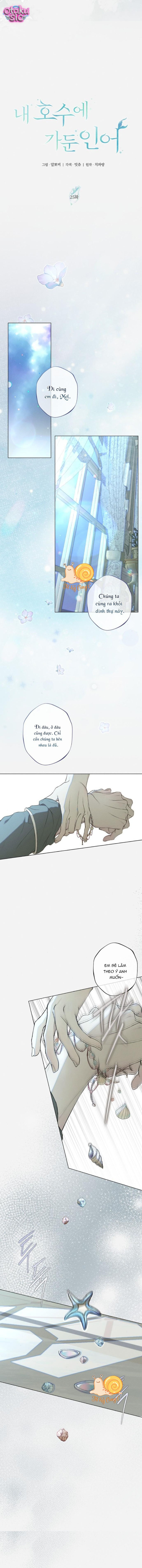 Chàng Tiên Cá Bị Giam Cầm Trong Hồ Nhà Tôi - Chap 25 - Trang 7