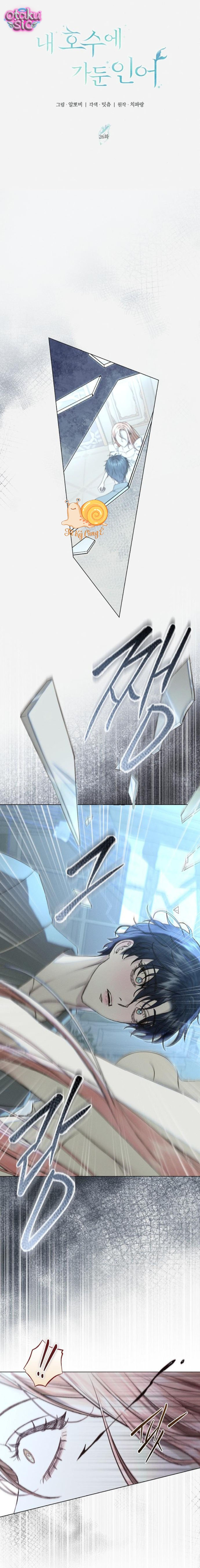 Chàng Tiên Cá Bị Giam Cầm Trong Hồ Nhà Tôi - Chap 26 - Trang 1