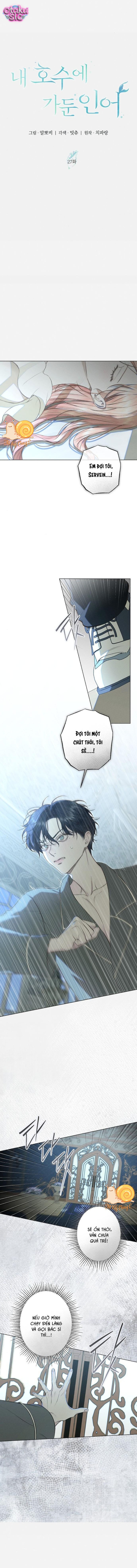 Chàng Tiên Cá Bị Giam Cầm Trong Hồ Nhà Tôi - Chap 27 - Trang 2