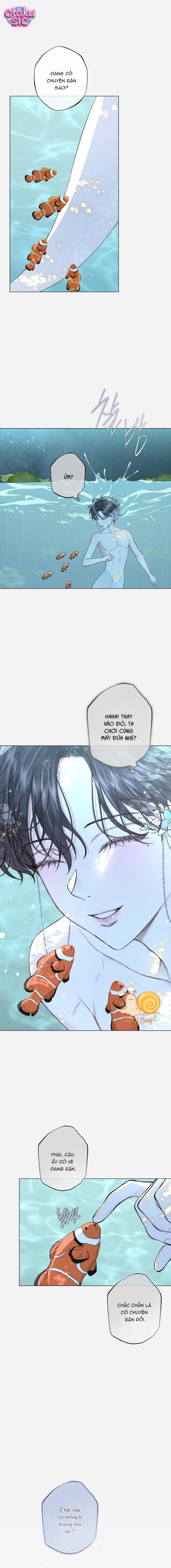 Chàng Tiên Cá Bị Giam Cầm Trong Hồ Nhà Tôi - Chap 27 - Trang 9
