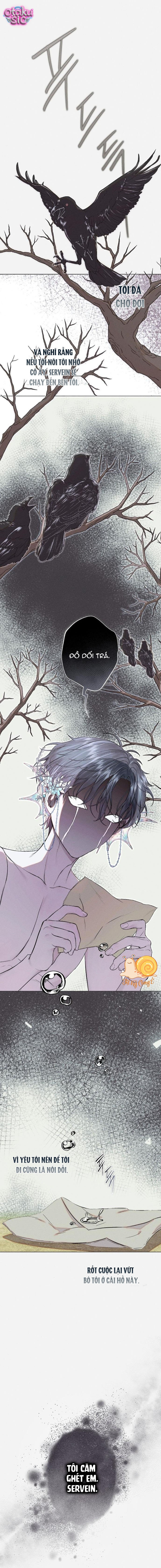 Chàng Tiên Cá Bị Giam Cầm Trong Hồ Nhà Tôi - Chap 28 - Trang 1