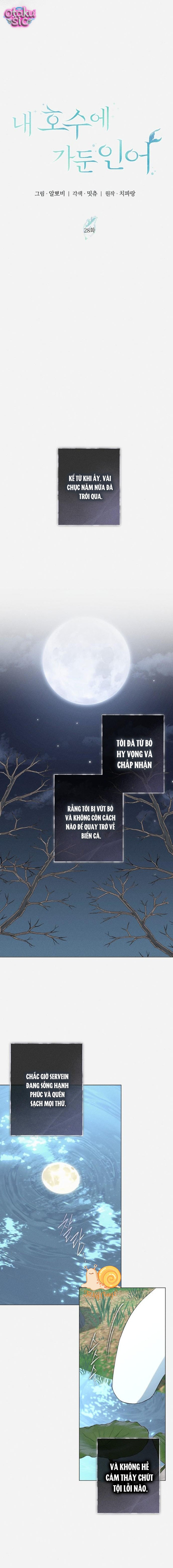 Chàng Tiên Cá Bị Giam Cầm Trong Hồ Nhà Tôi - Chap 28 - Trang 2