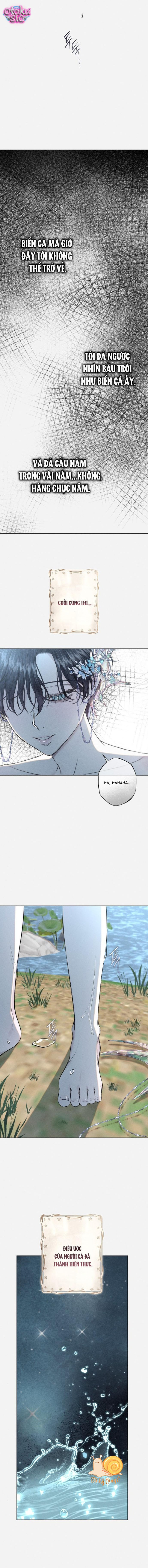 Chàng Tiên Cá Bị Giam Cầm Trong Hồ Nhà Tôi - Chap 28 - Trang 6