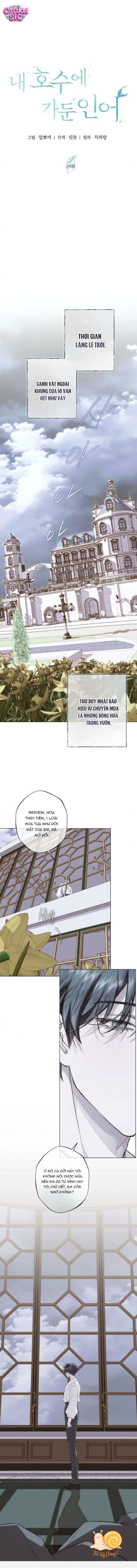 Chàng Tiên Cá Bị Giam Cầm Trong Hồ Nhà Tôi - Chap 29 - Trang 4