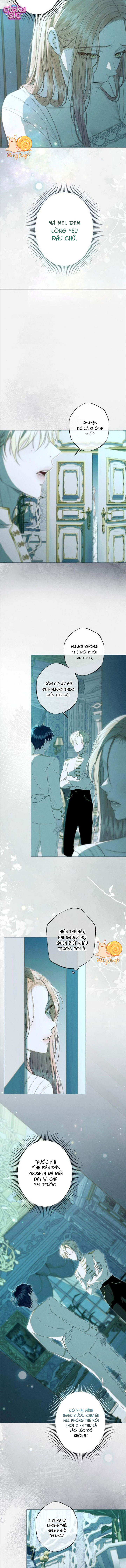 Chàng Tiên Cá Bị Giam Cầm Trong Hồ Nhà Tôi - Chap 34 - Trang 8