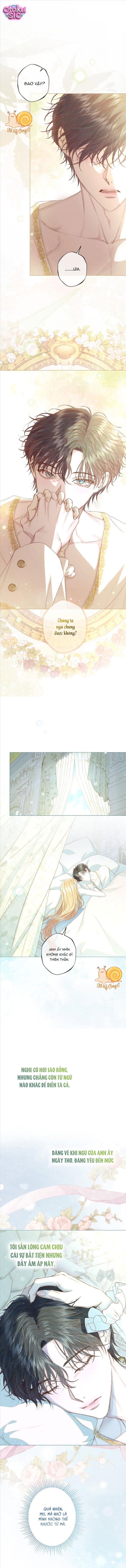 Chàng Tiên Cá Bị Giam Cầm Trong Hồ Nhà Tôi - Chap 35 - Trang 1