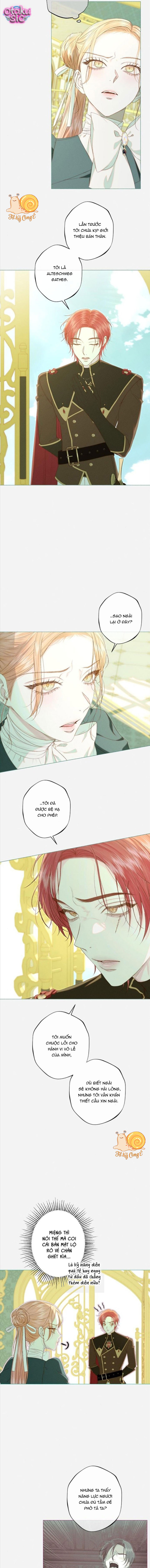Chàng Tiên Cá Bị Giam Cầm Trong Hồ Nhà Tôi - Chap 35 - Trang 11