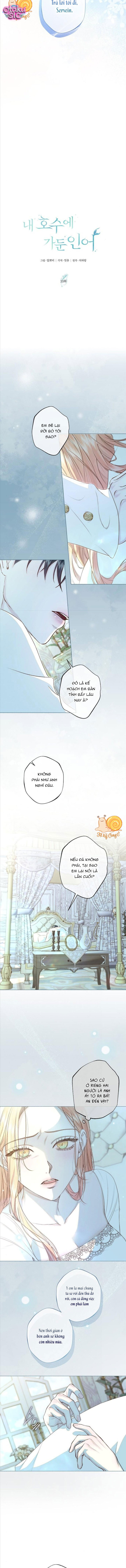 Chàng Tiên Cá Bị Giam Cầm Trong Hồ Nhà Tôi - Chap 35 - Trang 3