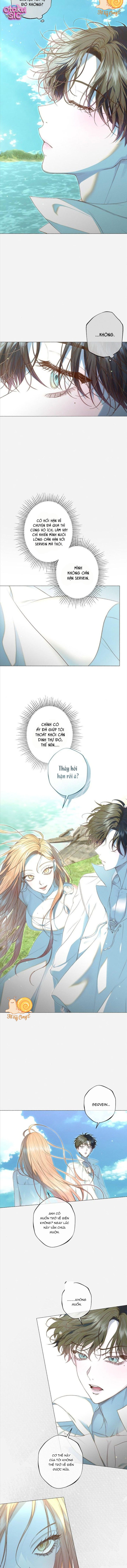 Chàng Tiên Cá Bị Giam Cầm Trong Hồ Nhà Tôi - Chap 36 - Trang 11