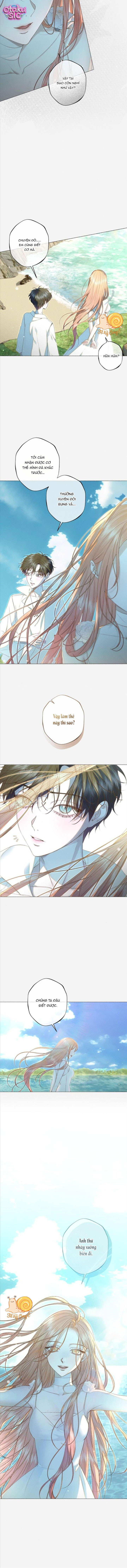 Chàng Tiên Cá Bị Giam Cầm Trong Hồ Nhà Tôi - Chap 36 - Trang 12