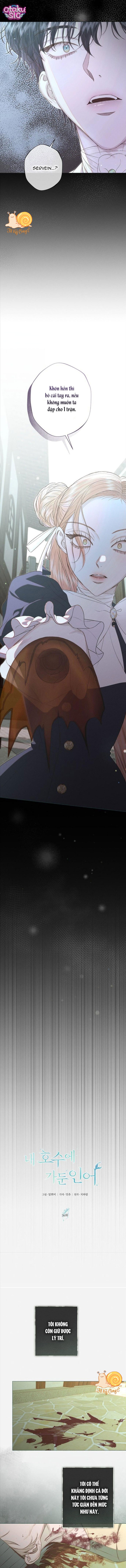 Chàng Tiên Cá Bị Giam Cầm Trong Hồ Nhà Tôi - Chap 36 - Trang 5