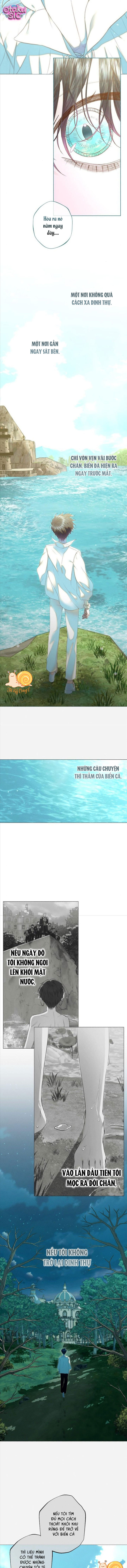 Chàng Tiên Cá Bị Giam Cầm Trong Hồ Nhà Tôi - Chap 36 - Trang 10