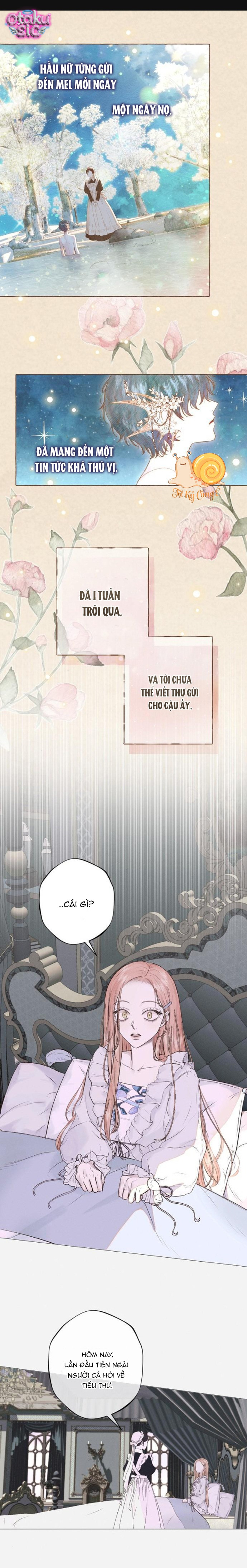 Chàng Tiên Cá Bị Giam Cầm Trong Hồ Nhà Tôi - Chap 4 - Trang 1