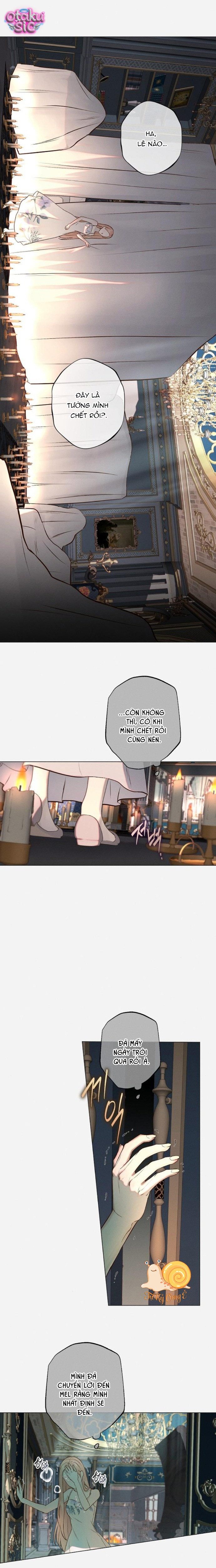 Chàng Tiên Cá Bị Giam Cầm Trong Hồ Nhà Tôi - Chap 4 - Trang 11