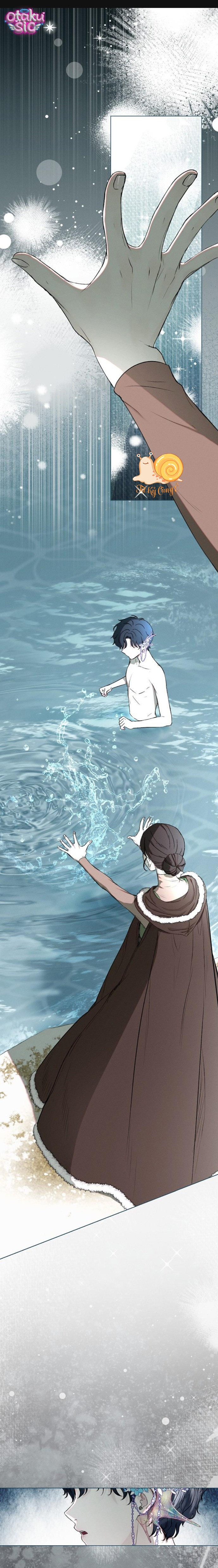 Chàng Tiên Cá Bị Giam Cầm Trong Hồ Nhà Tôi - Chap 6 - Trang 1