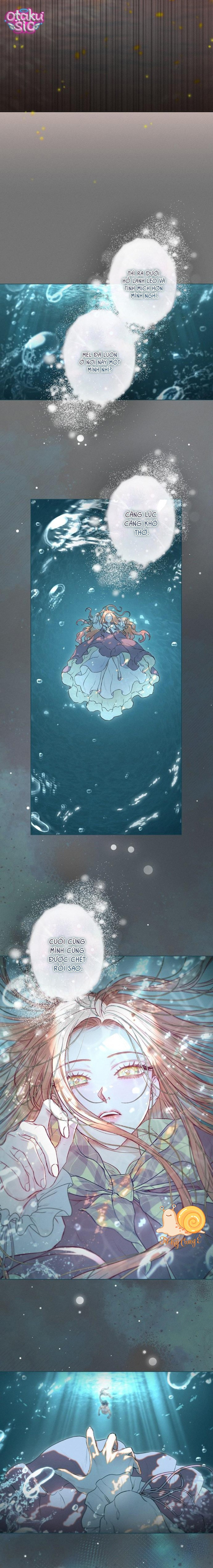 Chàng Tiên Cá Bị Giam Cầm Trong Hồ Nhà Tôi - Chap 6 - Trang 5