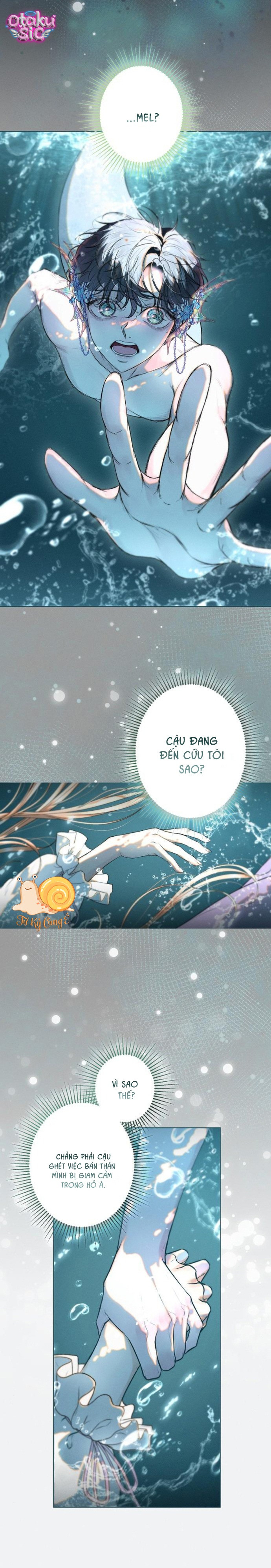Chàng Tiên Cá Bị Giam Cầm Trong Hồ Nhà Tôi - Chap 6 - Trang 6