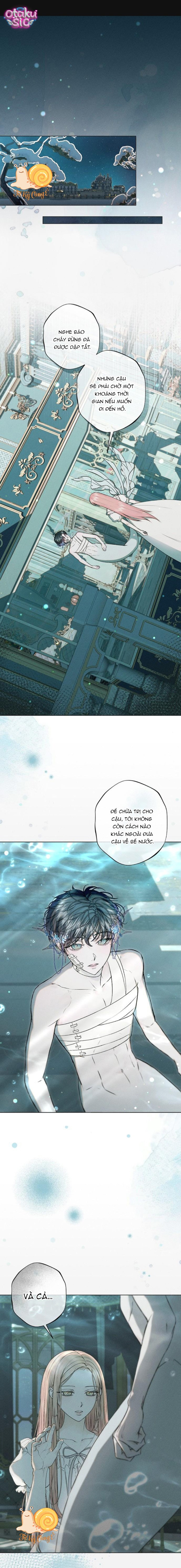 Chàng Tiên Cá Bị Giam Cầm Trong Hồ Nhà Tôi - Chap 7 - Trang 1
