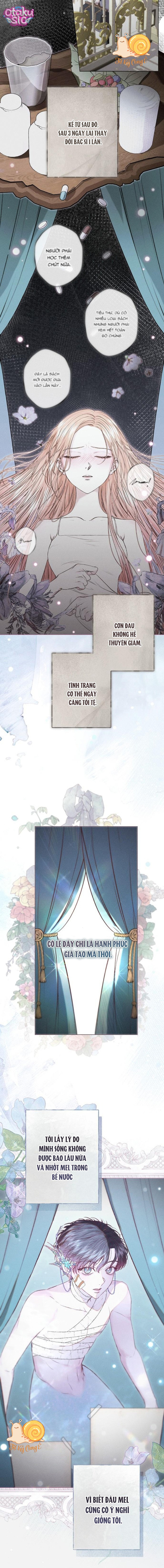 Chàng Tiên Cá Bị Giam Cầm Trong Hồ Nhà Tôi - Chap 7 - Trang 19