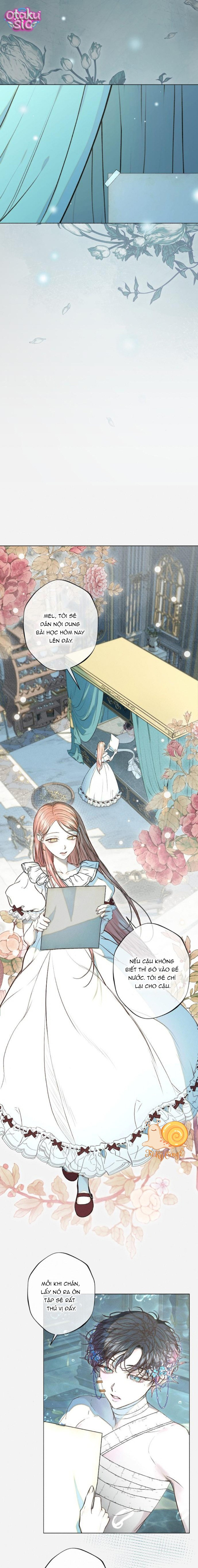 Chàng Tiên Cá Bị Giam Cầm Trong Hồ Nhà Tôi - Chap 7 - Trang 10