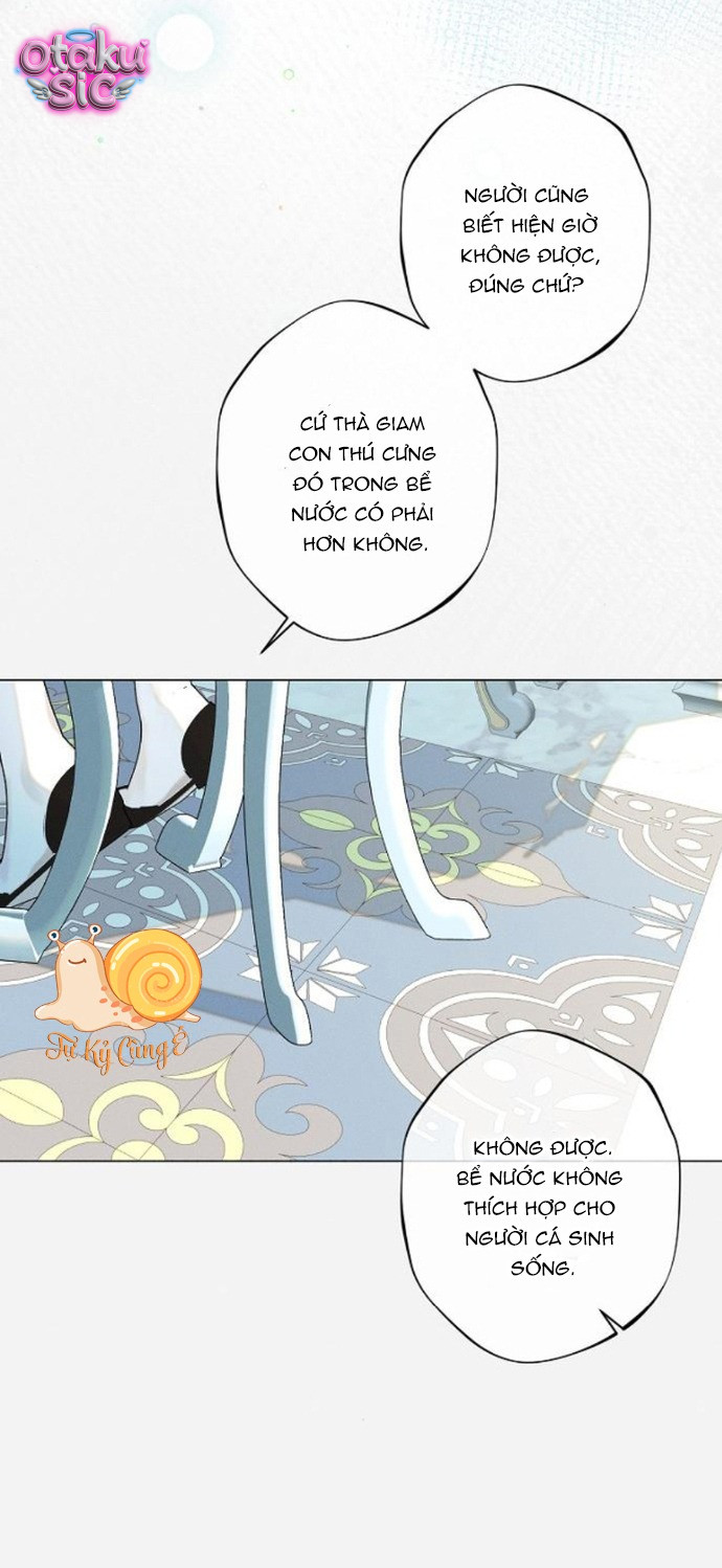 Chàng Tiên Cá Bị Giam Cầm Trong Hồ Nhà Tôi - Chap 8 - Trang 34