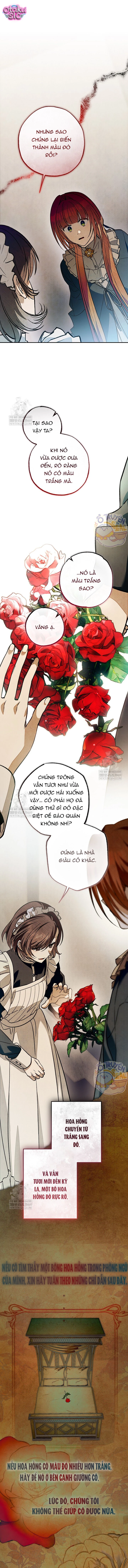 Chào Mừng Đến Với Dinh Thự Hoa Hồng - Chap 32 - Trang 14