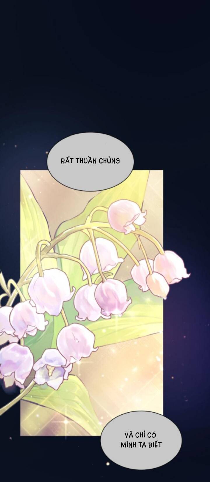 Chị Gái À, Kiếp Này Em Chính Là Nữ Hoàng - Chap 31.1 - Trang 19