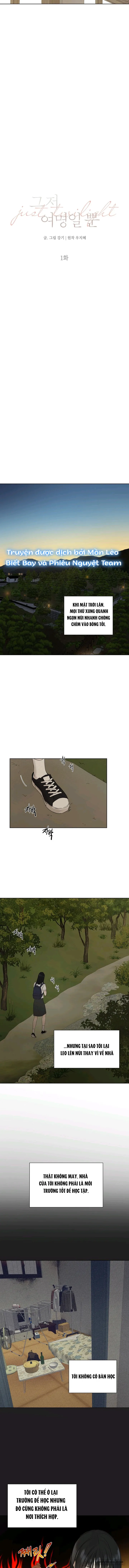 Chỉ Là Ánh Bình Minh - Chap 1 - Trang 12