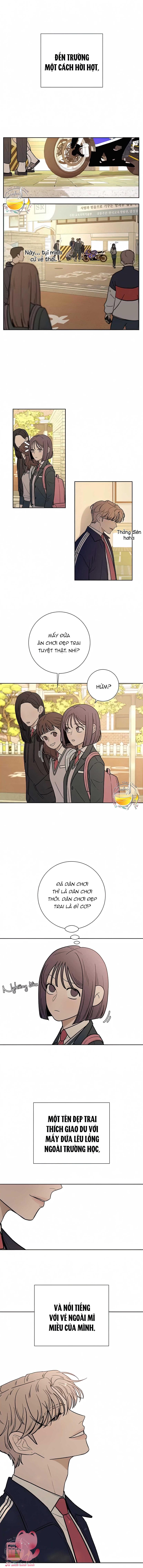 Chiến Lược Tình Yêu Trong Sáng - Chap 13 - Trang 12