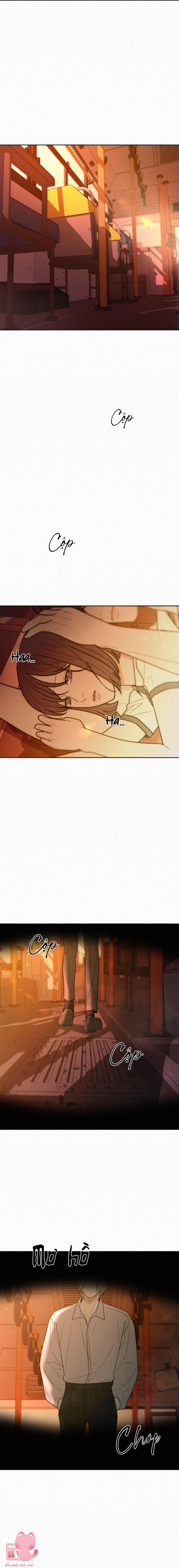 Chiến Lược Tình Yêu Trong Sáng - Chap 66 - Trang 3