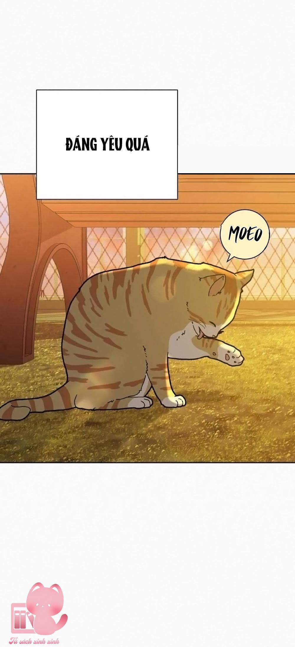 Chiến Lược Tình Yêu Trong Sáng - Chap 99 - Trang 22