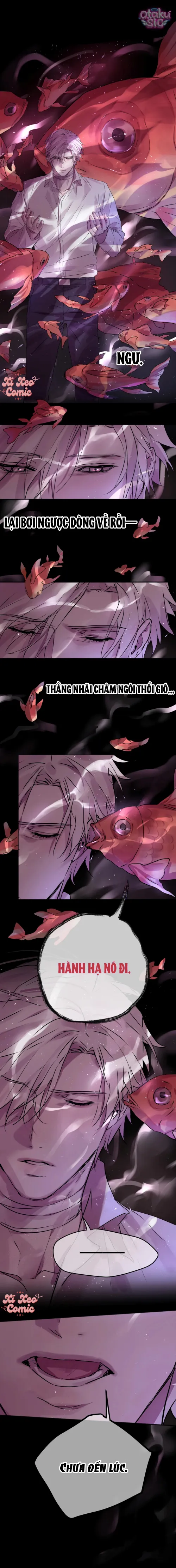 Chó Điên Phát Hiện Ra Tôi Là Đồng Loại - Chap 10 - Trang 11