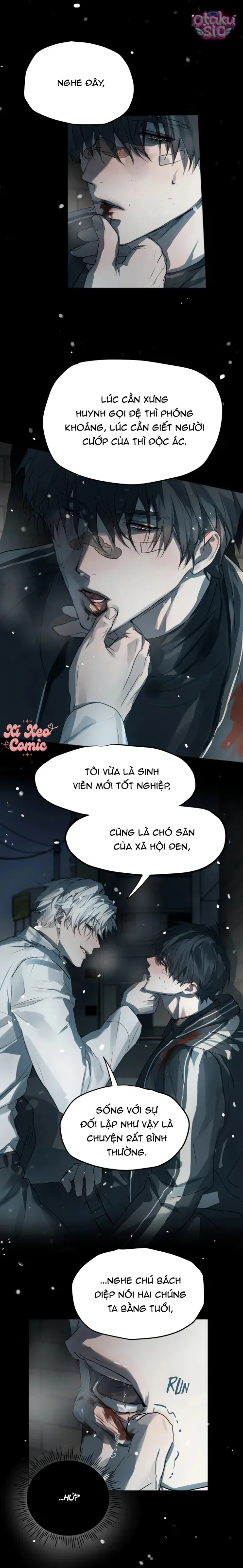 Chó Điên Phát Hiện Ra Tôi Là Đồng Loại - Chap 10 - Trang 5