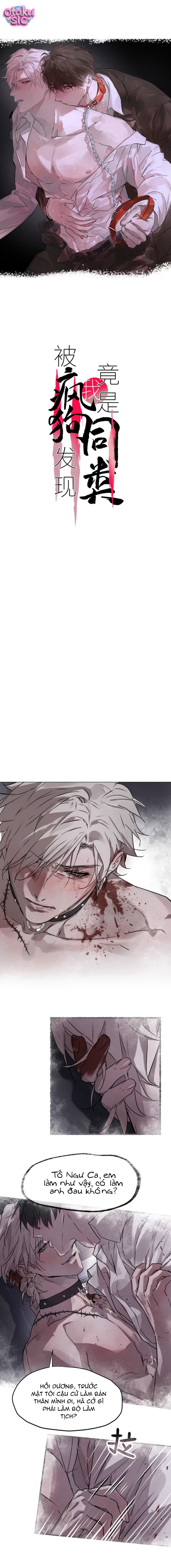 Chó Điên Phát Hiện Ra Tôi Là Đồng Loại - Chap 16 - Trang 1