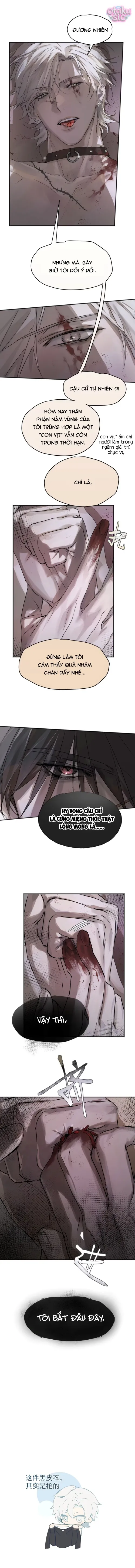 Chó Điên Phát Hiện Ra Tôi Là Đồng Loại - Chap 3 - Trang 15