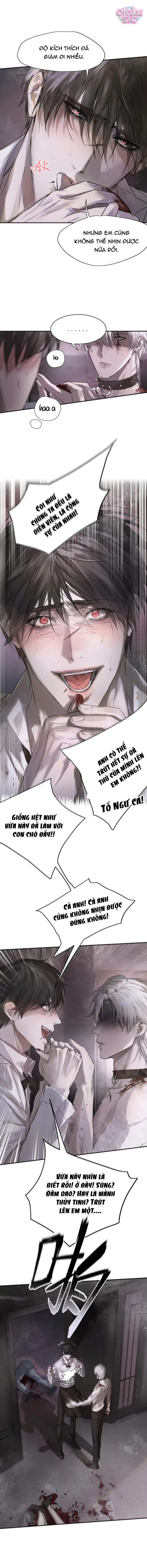 Chó Điên Phát Hiện Ra Tôi Là Đồng Loại - Chap 3 - Trang 7
