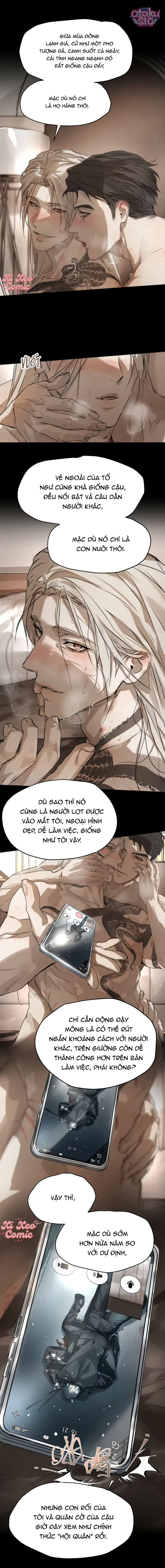 Chó Điên Phát Hiện Ra Tôi Là Đồng Loại - Chap 9 - Trang 5