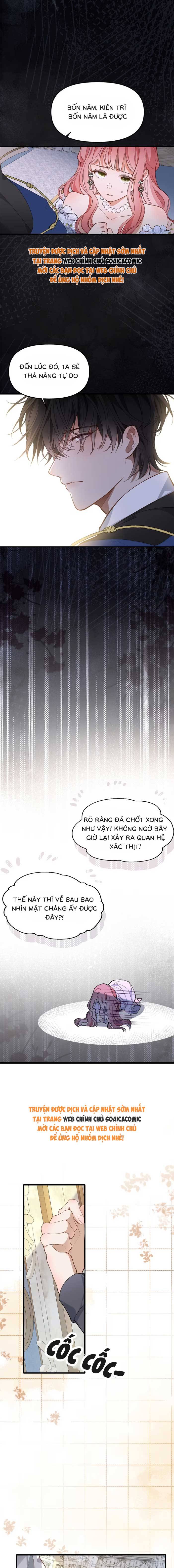 Chồng Hợp Đồng Nhưng Lại Nghiện Vợ Không Buông - Chap 5 - Trang 4