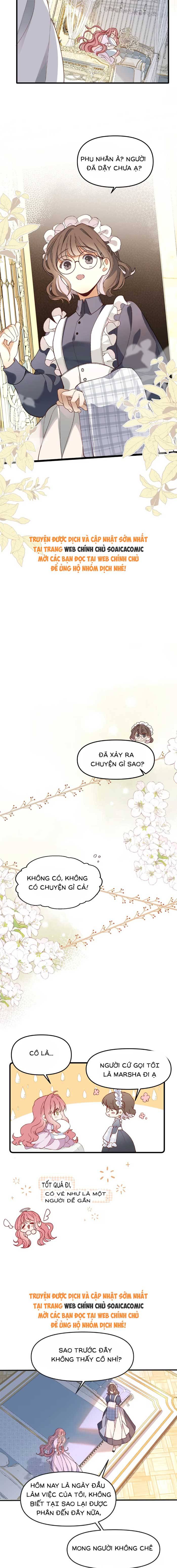 Chồng Hợp Đồng Nhưng Lại Nghiện Vợ Không Buông - Chap 5 - Trang 5