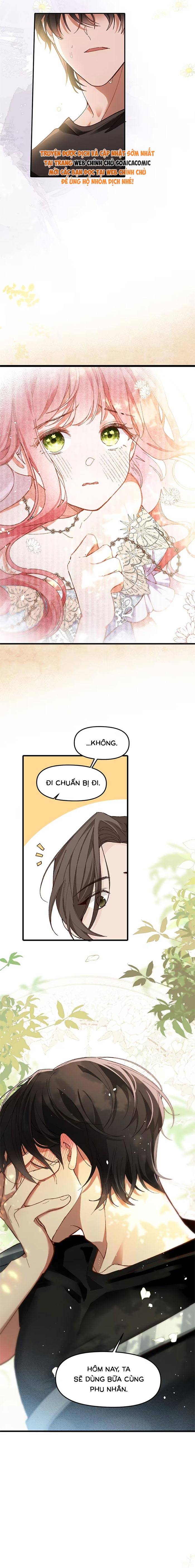 Chồng Hợp Đồng Nhưng Lại Nghiện Vợ Không Buông - Chap 6 - Trang 3