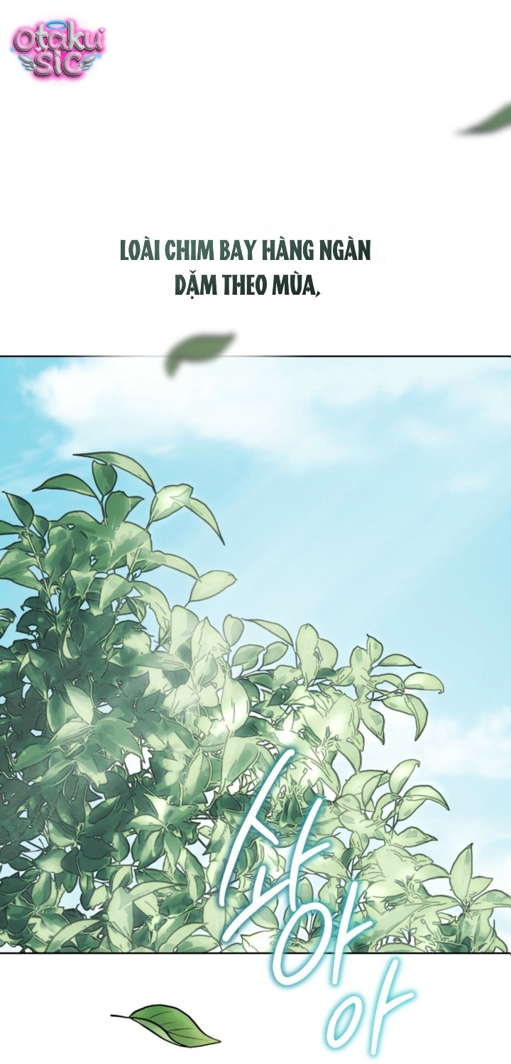 Chuộc tội cho sự tàn nhẫn đó - Chap 17 - Trang 24