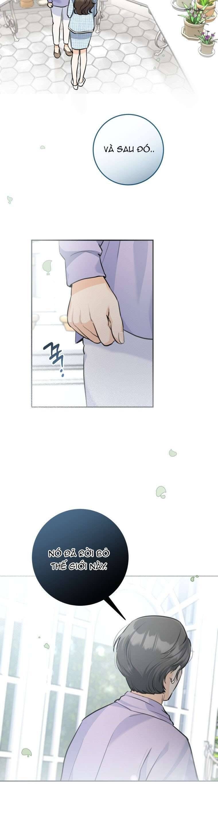Chuyện Kết Hôn - Chap 31 - Trang 28