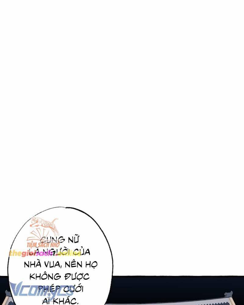 Chuyện Tình Hoa Lưu Ly - Chap 1 - Trang 78