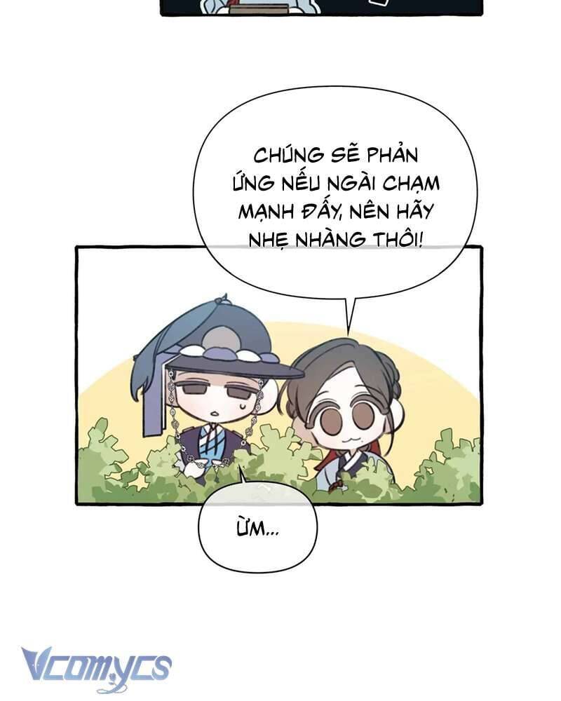 Chuyện Tình Hoa Lưu Ly - Chap 3 - Trang 51