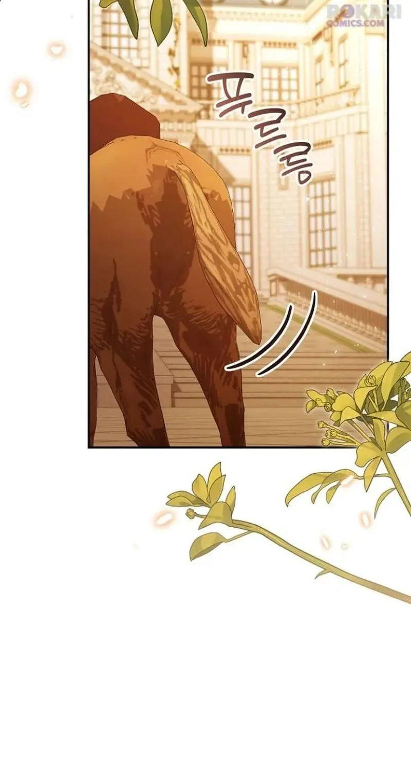 Cô Dâu Của Đại Công Tước Là Chiến Binh Địa Ngục - Chap 38 - Trang 29