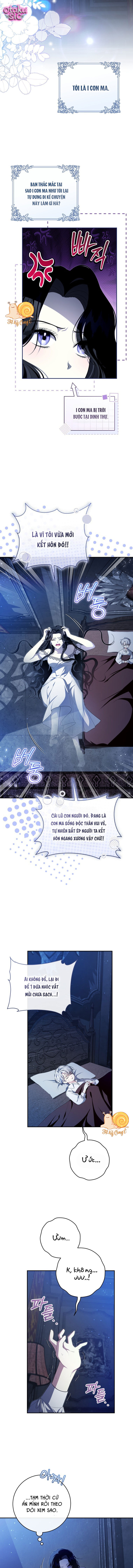 Cô Dâu Ma Của Vị Hoàng Tử Bị Bỏ Rơi - Chap 1 - Trang 9