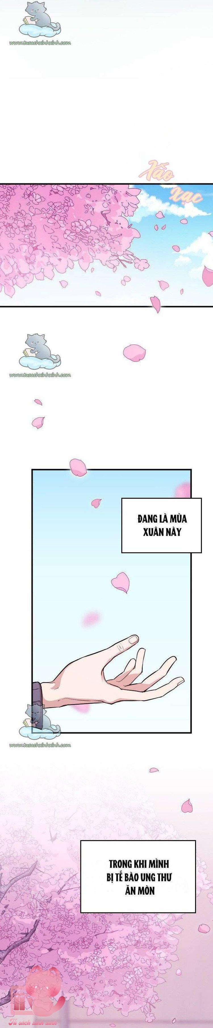 Cô Đi Mà Kết Hôn Với Chồng Tôi - Chap 1 - Trang 7