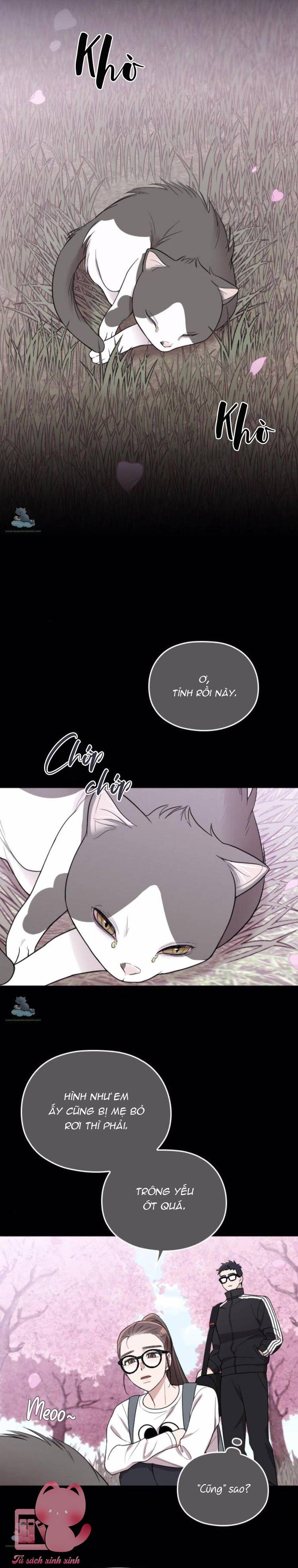Cô Đi Mà Kết Hôn Với Chồng Tôi - Chap 32 - Trang 6