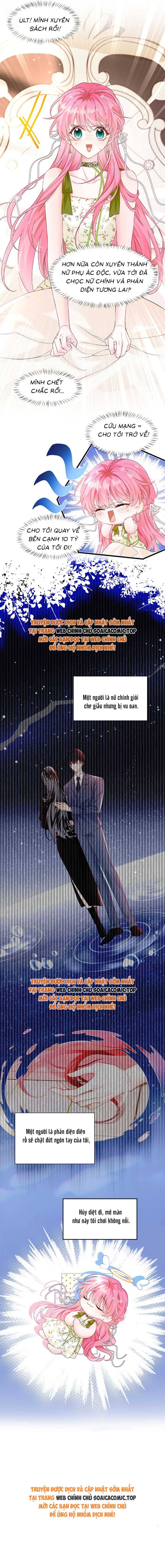 Cô Em Gái Cưng Bất Đắc Dĩ Của Đại Lão - Chap 1 - Trang 9